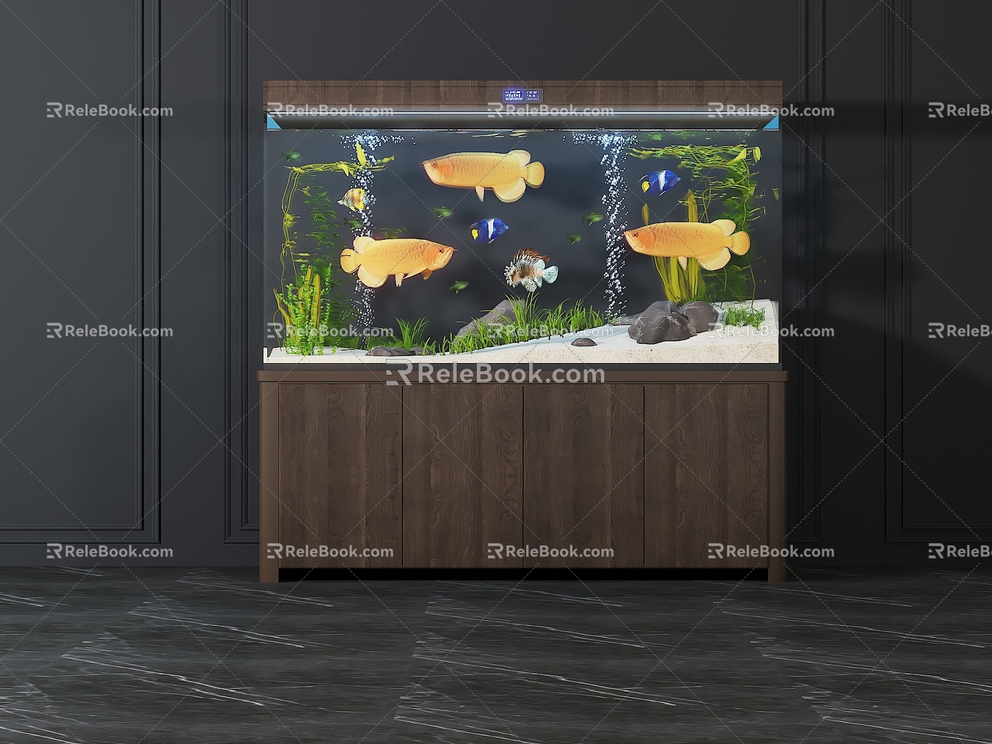 Aquarium Aquarium Aquarium Tropical Fish Golden Dragon Fish 3d model