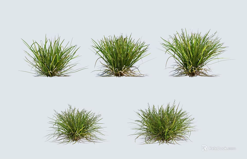Five Natural Lush Green Grass Clumps Growing On Gray Background 3d model 
