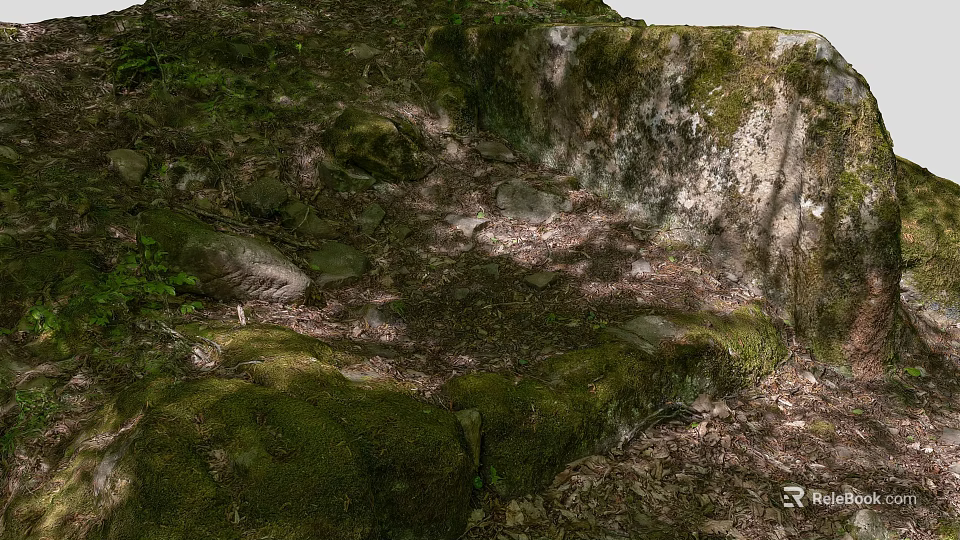 Lush Natural Garden Landscape With Moss Covered Rocks Fallen Leaves And Shady Spots 3d model 