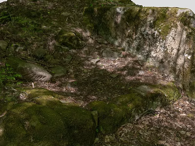 Lush Natural Garden Landscape With Moss Covered Rocks Fallen Leaves And Shady Spots 3d model