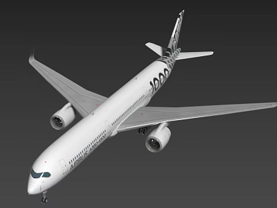 Passenger Airplane With White Body Twin Engines Wing Structure And Tail Design 3d model