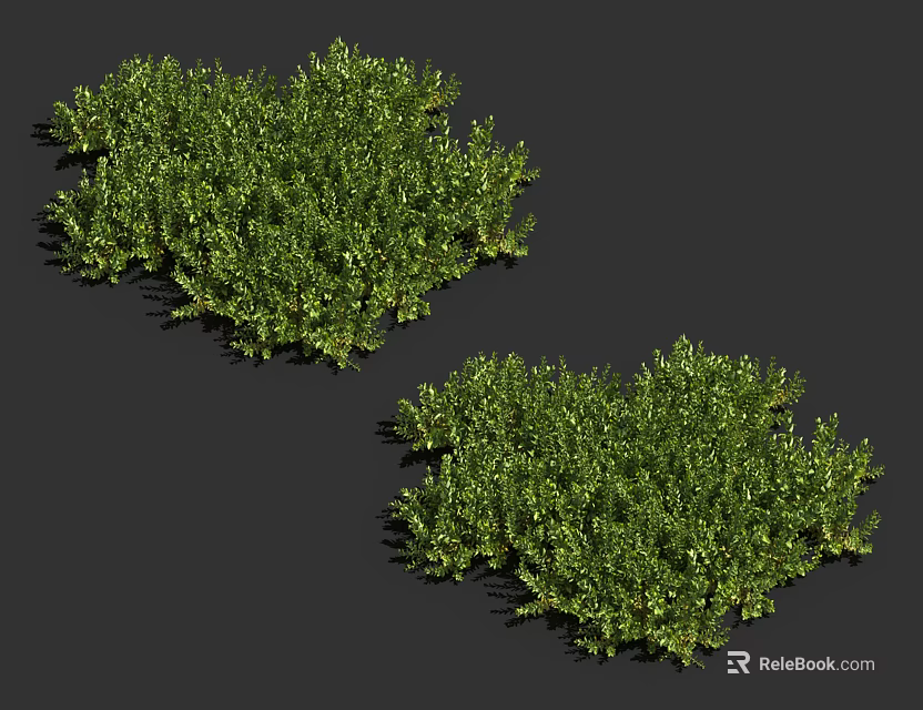 Vibrant Green Bushes With Lush Dense Foliage In Two Clusters 3d model 