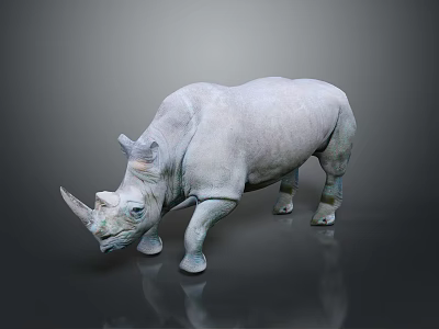 Gray Rhinoceros 3D Model in Standing Pose With Smooth Texture and Reflective Surface 3d model
