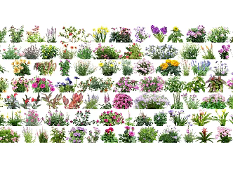 modern flowers and plants covered garden flowers and plants 3d model