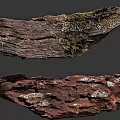Natural Wooden Sculpture Carving With Mossy Texture And Weathered Surface Details