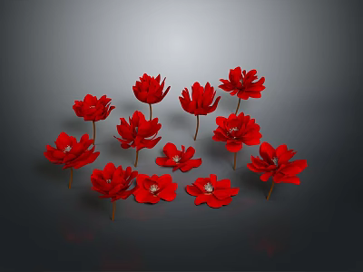 Vibrant Red Flowers Arrangement on Gray Background with Reflections 3d model