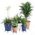 Various Types of Bonsai Potted Plants in Colorful Ceramic Pots for Indoor Decor
