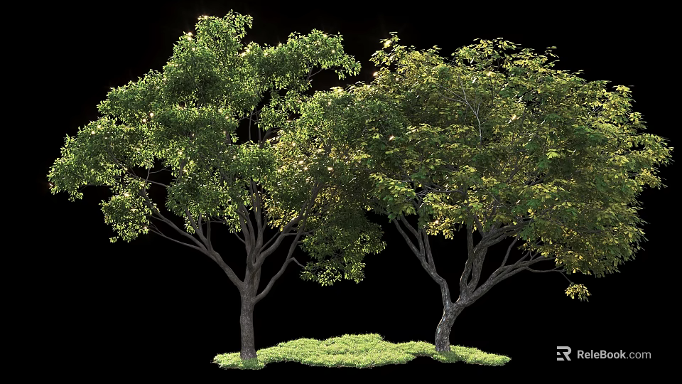 Tall Arbor Trees With Lush Green Foliage And Strong Trunks On Grass Base 3d model 