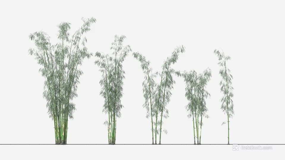 Graceful Green Bamboo Plants With Tall Stalks And Lush Foliage In Garden 3d model 