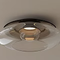 Modern Layered Ceiling Light With Transparent Glass Shade And Warm Light Source 3d model