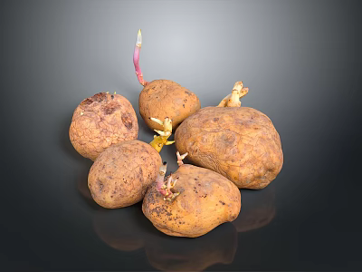 Organic Multiple Sprouting Potatoes With Fresh Sprouts And Natural Brown Skin 3d model