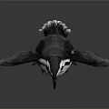 Realistic Black And White Penguin Standing With Open Wings On Gray Reflective Background