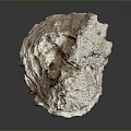Detailed Human Organ Structure With Soft Hair Like Fibers And Textured Surface