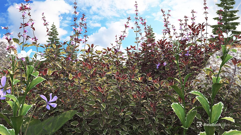 Shrubs With Variegated Leaves And Purple Flowers Under Blue Sky With White Clouds 3d model 