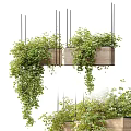 Lush Trailing Greenery In Wooden Hanging Planters For Stylish Home Decor