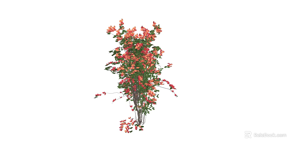 Lush Climbing Vine Plant With Red Flowers And Green Leaves For Garden Decor 3d model 