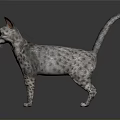Spotted Cat Standing With Pointed Ears Raised Tail And Reflective Floor Background 3d model