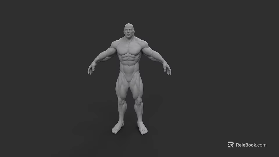 Muscular Man 3D Model With Well Defined Physique And Strong Athletic Build 3d model