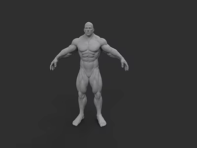 Muscular Man 3D Model With Well Defined Physique And Strong Athletic Build 3d model