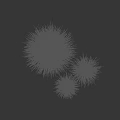 Lush Green Grass Clumps Growing with Vibrant Texture Against Black Background
