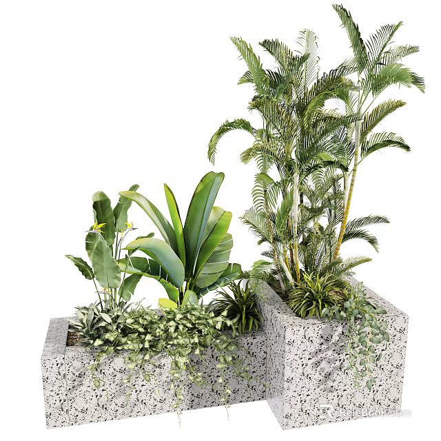 Potted Plants in Concrete Planters with Different Types of Green Foliage and Lush Leaves 3d model 
