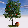 Tall Arbor Tree With Red Fruits Green Leaves And Basket Under Blue Sky