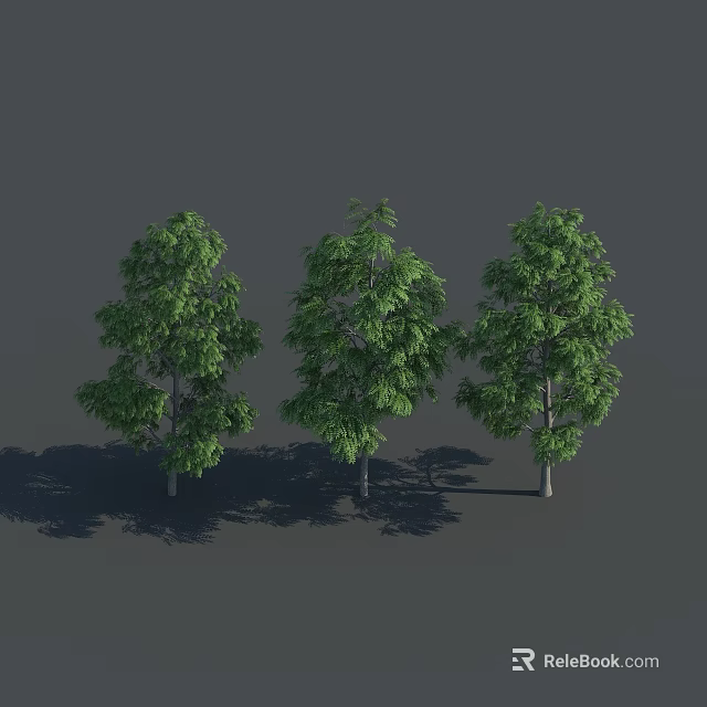 Three Arbor Trees with Green Leaves and Straight Trunks against Gray Background with Natural Shadows 3d model 