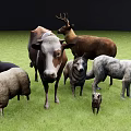 Different Reptile Species Living In Green Grassland With Other Animals
