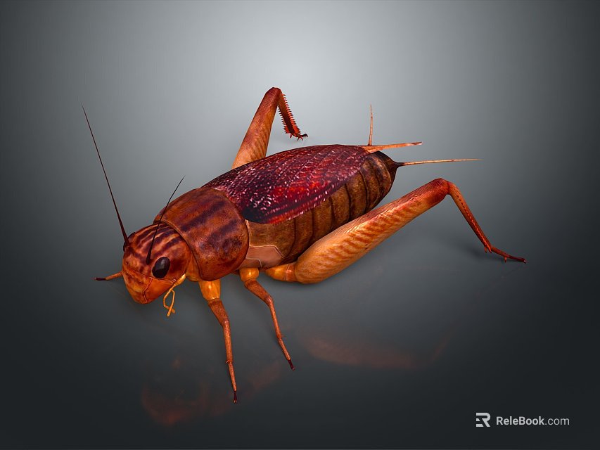 Home Decorative Cricket Figurine In Brown Red Color With Long Antennae And Detailed Legs 3d model 