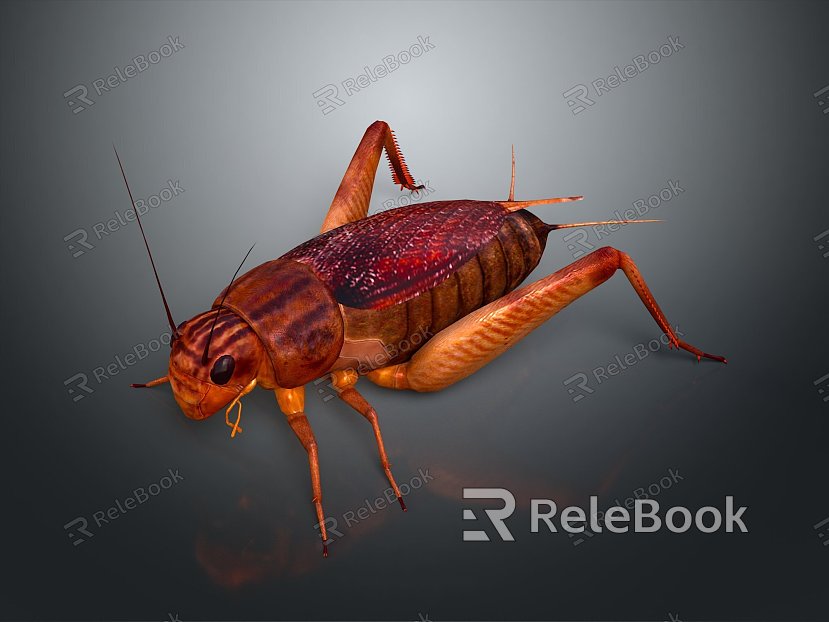 grasshopper insect cartoon locust animation locust anime locust anime game character model