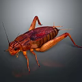 grasshopper insect cartoon locust animation locust anime locust anime game character 3d model
