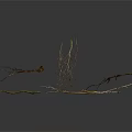 Dry Plant Branches with Exposed Roots on Dark Background