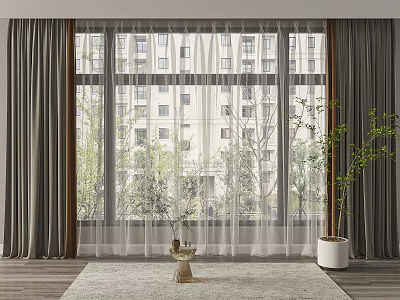 Gray Sheer and Solid Curtains for Living Room Window with Urban View and Indoor Plant 3d model