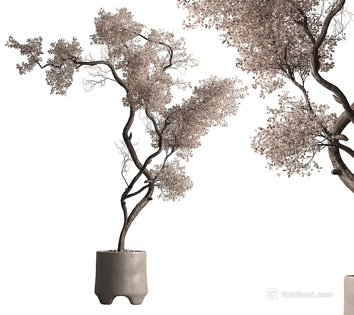 Decorative Bonsai Tree With Curved Branches And Delicate Foliage In Minimalist Planter 3d model 