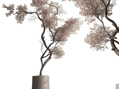 Decorative Bonsai Tree With Curved Branches And Delicate Foliage In Minimalist Planter 3d model