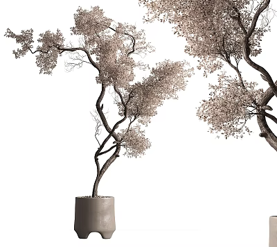 Decorative Bonsai Tree With Curved Branches And Delicate Foliage In Minimalist Planter 3d model