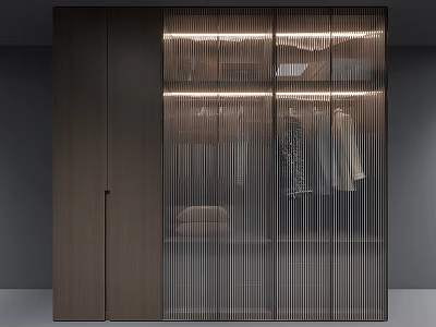 Modern Wardrobe Interior Design With Glass Doors Lighting And Hanging Clothes 3d model
