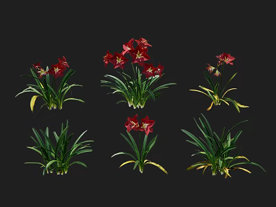 Red Flowering Plants With Green Leaves Showcased In Multiple Angles For Garden 3d model