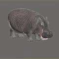 Realistic Hippopotamus 3D Model Render With Open Mouth And Gray Skin 3d model