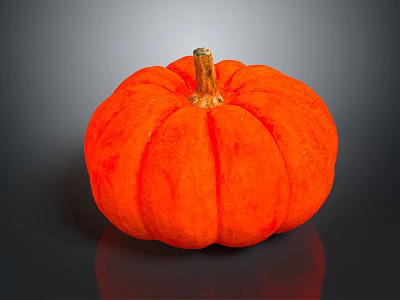 Fresh Orange Round Pumpkin Vegetable With Shiny Surface On Dark Background 3d model