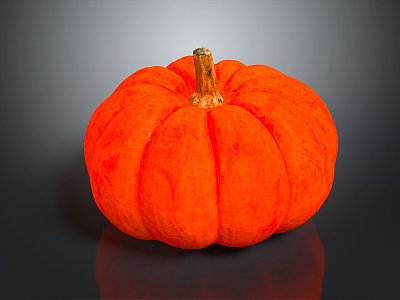 Modern Pumpkin Vegetable Pumpkin 3d model