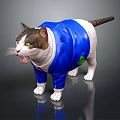 Adorable Gray And White Cat Wearing Blue Jacket With Green Emblem