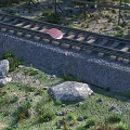 Railway Track Road Facility With Gravel Grass Rocks And Pink Petals