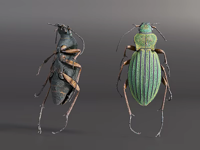 Flying Insects Two Beetles with Dark and Green Color Striped Body and Detailed Legs 3d model