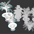 Different Types Of Indoor Houseplants With Varied Leaf Shapes In Decorative Pots For Home Decoration