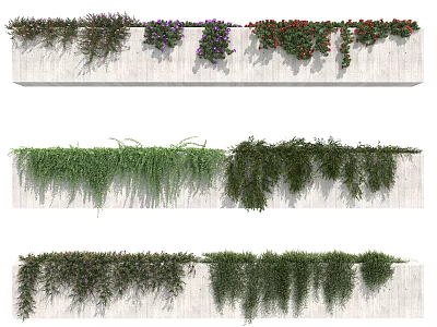 Varied Decorative Vines Growing In Stone Planters 3d model