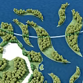 Birds Eye View Planning Design With Curved Green Islands Lush Trees And Bridge Over Blue Water