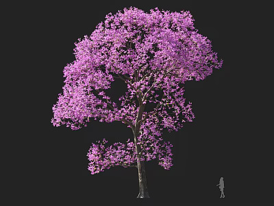 Blooming Tree with Vibrant Purple Flowers Against Dark Background And Small Figure 3d model