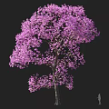 Blooming Tree with Vibrant Purple Flowers Against Dark Background And Small Figure