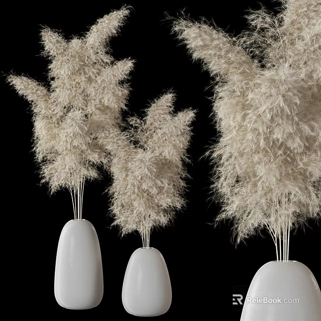 Decorative White Vases With Fluffy White Pampas Grass For Modern Interior 3d model 
